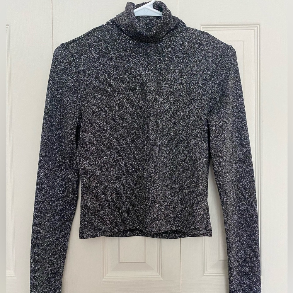 Sparkly black and silver turtle neck